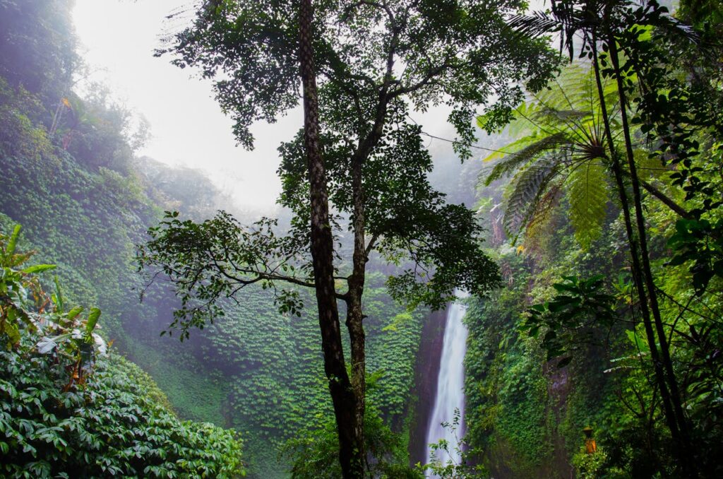 Misty waterfall surrounded by lush greenery and dense tropical jungle, capturing nature's serenity.