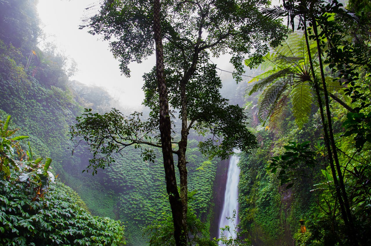 Misty waterfall surrounded by lush greenery and dense tropical jungle, capturing nature's serenity.