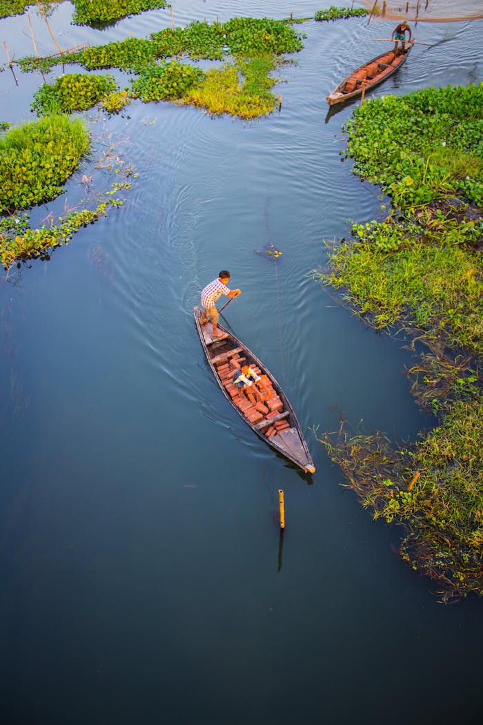 Captured from above, a fisherman navigates tranquil waters in a lush Indian river scene.