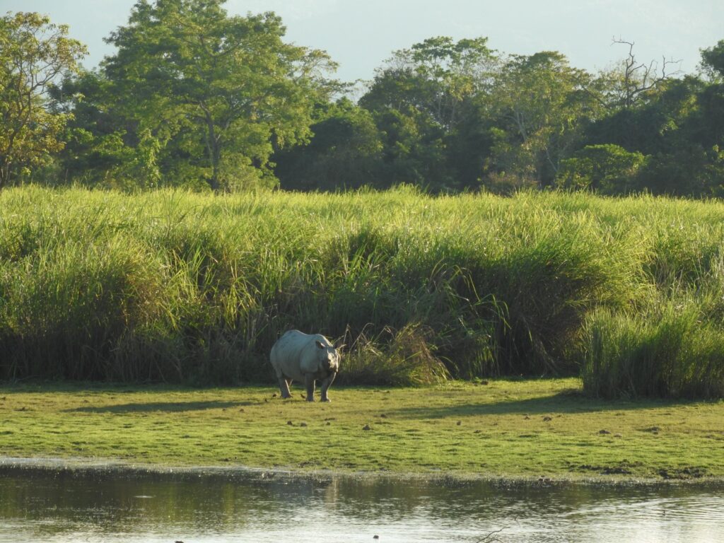 whatsapp image 2026 02 26 at 10.11.02 pm (5)